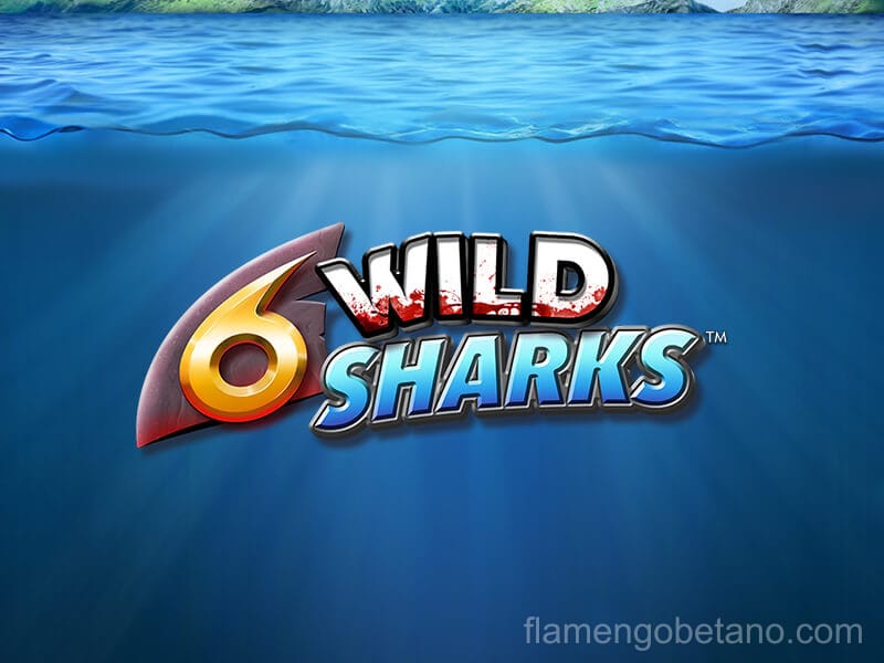 6 Wild Sharks