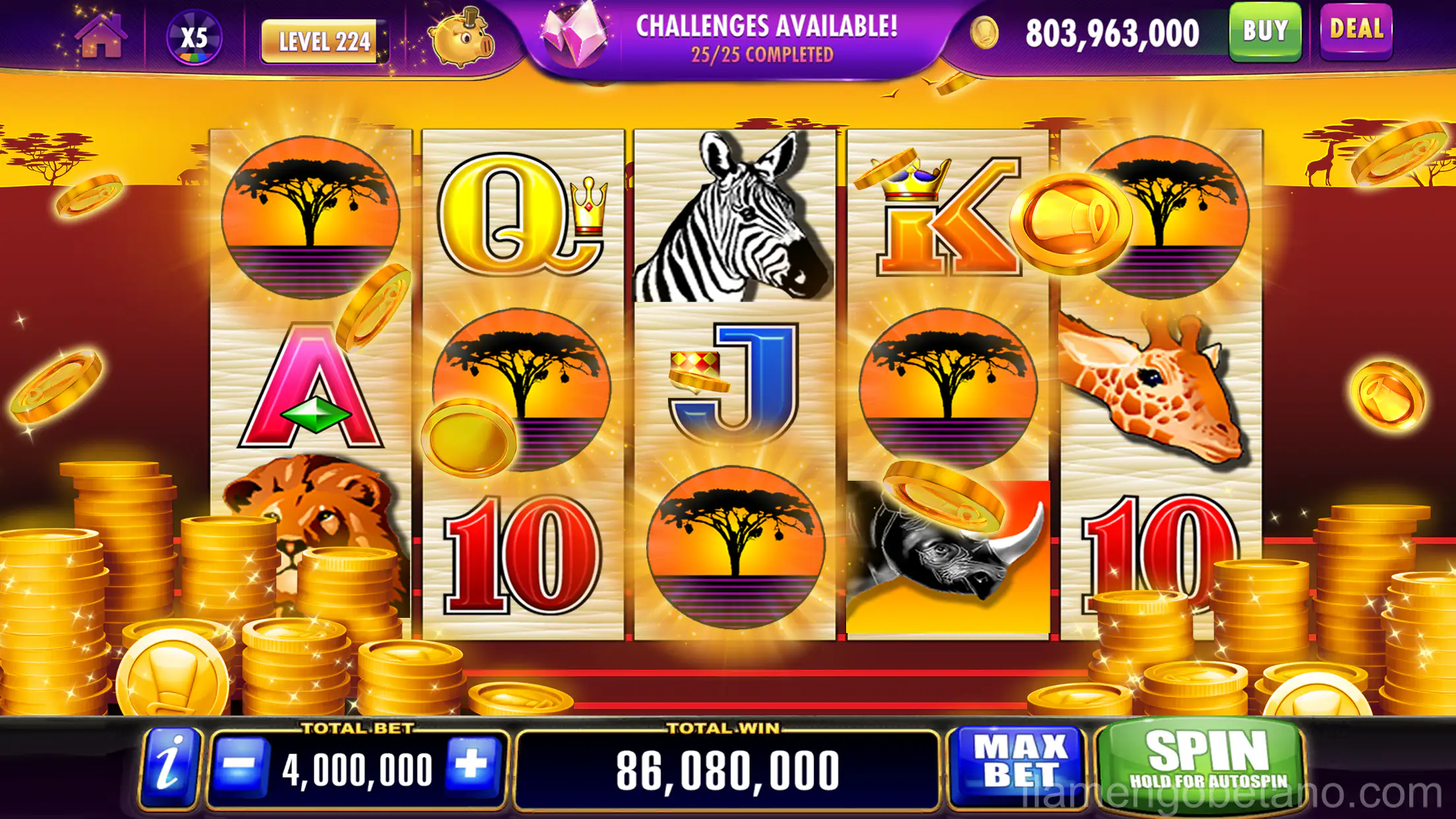 Interface do cassino online no app